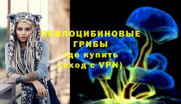 прущая мука Абаза