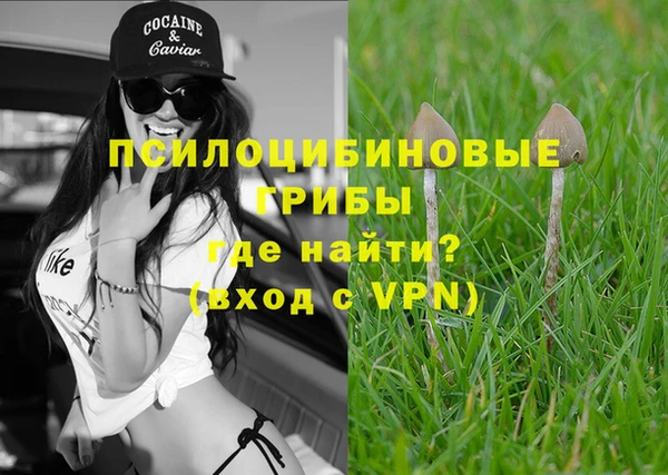 прущая мука Абаза